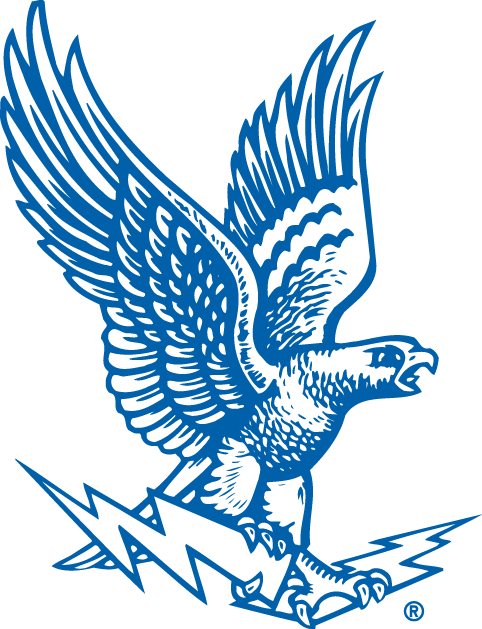 Air Force Falcons 1963-1994 Primary Logo iron on paper